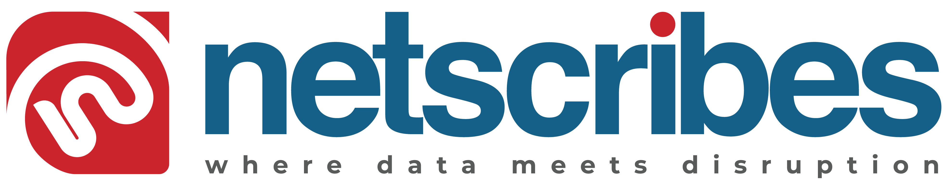 NS_Logo_2024_final